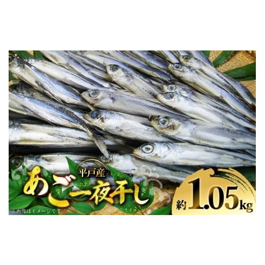 ふるさと納税 魚貝類 長崎県 平戸市 干物 あご 一夜干し 約 1050g 10匹 前後 森崎水産 長崎県 平戸市 hr42bgy410050 さかな おつまみ 一品