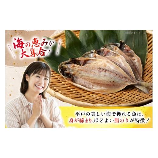 ふるさと納税 干物 アジ 長崎県 平戸市 おつまみ イカ 旬魚 平戸 干物 9種 詰め合せ 定期便 6回 森崎水産 長崎県 平戸市 hr42bgy410098 いか セット 詰合せ 干…の画像