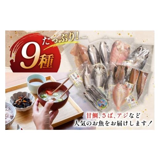 ふるさと納税 干物 アジ 長崎県 平戸市 おつまみ イカ 旬魚 平戸 干物 9種 詰め合せ 定期便 6回 森崎水産 長崎県 平戸市 hr42bgy410098 いか セット 詰合せ 干…の画像