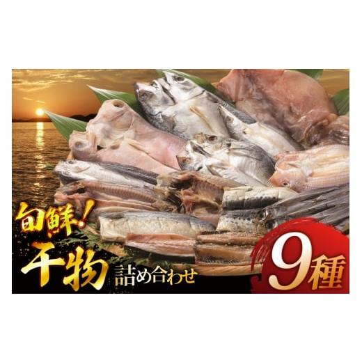 ふるさと納税 干物 アジ 長崎県 平戸市 魚 惣菜 平戸 干物 詰め合わせ 9種 森崎水産 長崎県 平戸市 hr42bgy410125 さかな 加工品 ひもの つめあわせ 豪華 旬魚…