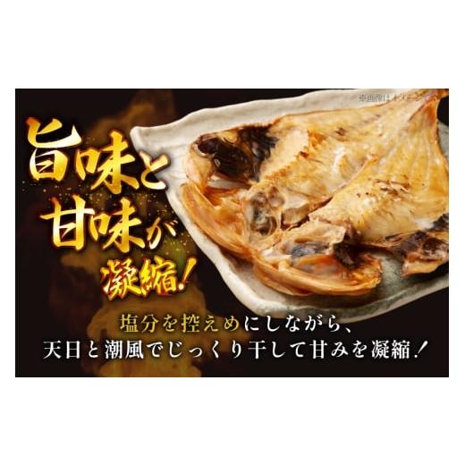 ふるさと納税 干物 長崎県 平戸市 6回 定期便 魚 惣菜 平戸 干物 詰め合わせ 16種 森崎水産 長崎県 平戸市 hr42bgy410215 さかな 加工品 ひもの つめあわせ 豪…の画像