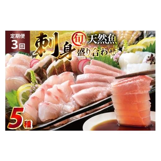 ふるさと納税 旬の鮮魚等 長崎県 平戸市 刺身 盛り合わせ 旬の天然魚の刺身盛り 5種 2〜3人前 3回 定期便 総計6〜9人前 セット 食べ比べ 詰め合わせ 囲炉裏料…