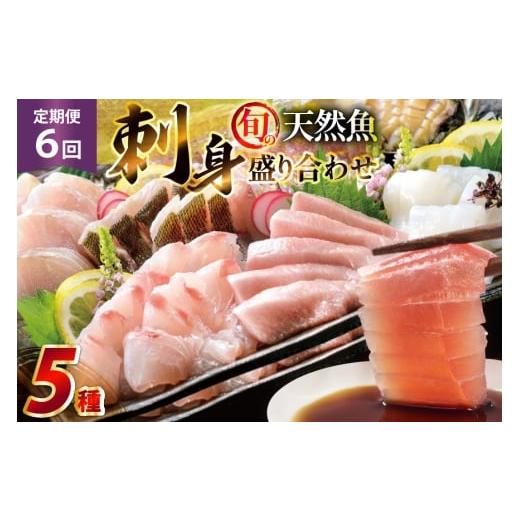 ふるさと納税 旬の鮮魚等 長崎県 平戸市 刺身 盛り合わせ 旬の天然魚の刺身盛り 5種 2〜3人前 6回 定期便 総計12〜18人前 詰め合わせ セット 囲炉裏料理エビス…