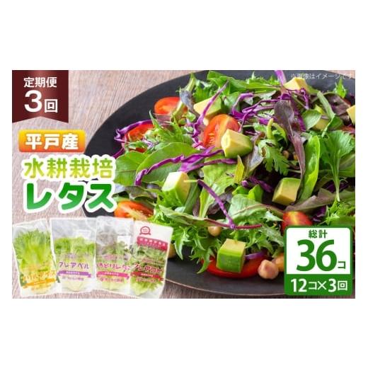 ふるさと納税 野菜類 長崎県 平戸市 レタス 水耕栽培 4種 12袋 セット 3回 定期便 総計36袋 食べ比べ 詰め合わせ モロフジファーム 長崎県 平戸市 hr42bgy4202…