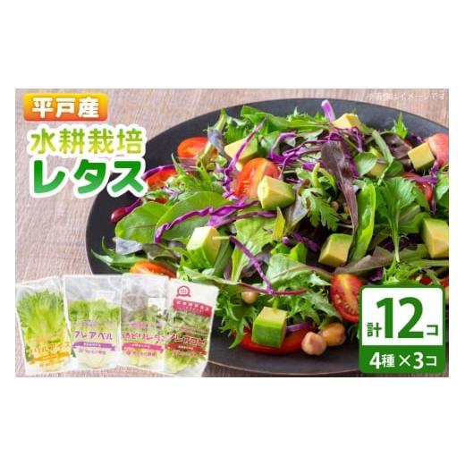 ふるさと納税 セット・詰合せ 長崎県 平戸市 レタス 水耕栽培 4種 12袋 セット 食べ比べ 詰め合わせ モロフジファーム 長崎県 平戸市 hr42bgy420323 サラダ 産…