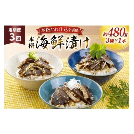 ふるさと納税 魚貝類 長崎県 平戸市 刺身 漬け丼 本格 海鮮漬け セット 160g 3本 3回 定期便 総計1.4kg 詰め合わせ 食べ比べ よかろ物産 長崎県 平戸市 hr42bg…