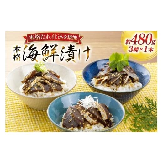 ふるさと納税 漬魚(味噌・粕等) 長崎県 平戸市 刺身 漬け丼 本格 海鮮漬け セット 160g 3本 計480g 詰め合わせ 食べ比べ よかろ物産 長崎県 平戸市 hr42bgy4…