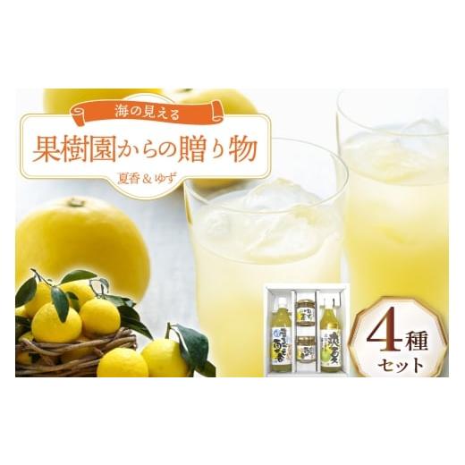 ふるさと納税 果汁飲料 セット 長崎県 平戸市 果物 オレンジ 果樹園からの贈り物 4種 セット 善果園 長崎県 平戸市 hr42bgy420171 みかん ジュース マーマレー…