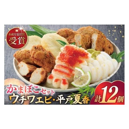 ふるさと納税 魚貝類 かまぼこ 長崎県 平戸市 かまぼこ ウチワエビ 蒲鉾 2種 すり身揚げ 3種 詰め合わせ 宝亀かまぼこ店 長崎県 平戸市 hr42bgy420277 練り物