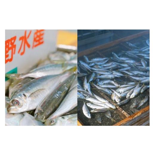 ふるさと納税 魚貝類 長崎県 平戸市 魚 干物 ごはんのお供 みりん干し ふりかけ 佃煮 セット 6回 定期便 末弘丸 長崎県 平戸市 hr42bgy420415 サバ アジ イワ…の画像