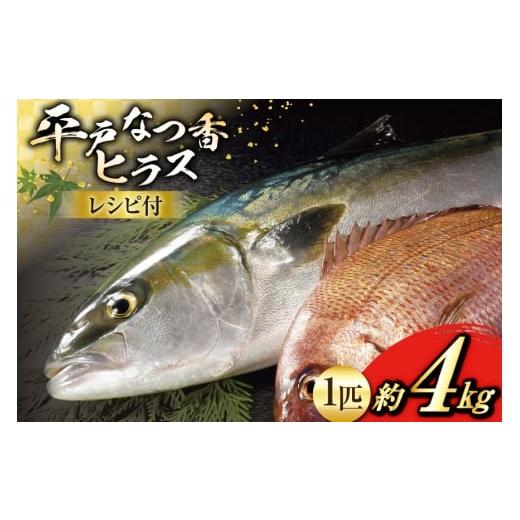 ふるさと納税 旬の鮮魚等 長崎県 平戸市 刺身 ヒラマサ 平戸なつ香 ヒラス 丸々 1匹 約4kg (株)坂野水産 長崎県 平戸市 hr42bgy420031 魚介 さかな お刺身 …