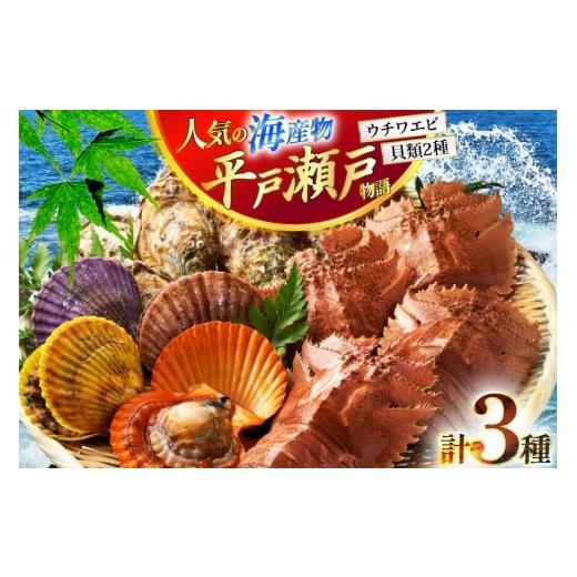 ふるさと納税 旬の鮮魚等 長崎県 平戸市 ウチワエビ えび サザエ ヒオウギ貝 平戸 海鮮 3種 盛り合わせ 平戸さくら水産 長崎県 平戸市 hr42bgy420174 魚介 え…
