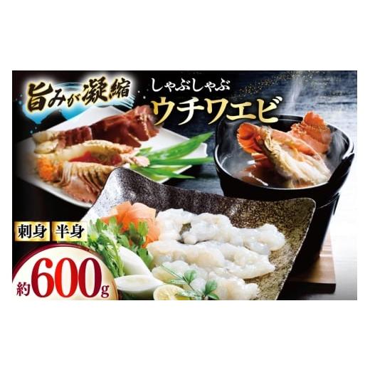 ふるさと納税 しゃぶしゃぶ 長崎県 平戸市 うちわえび エビ 海老 刺身 しゃぶしゃぶ 海鮮 ウチワエビ刺身 約200g・ウチワエビ半身 約400g セット 総計600g ひ…