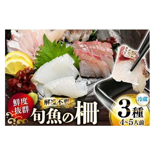 ふるさと納税 旬の鮮魚等 長崎県 平戸市 刺身 鮮魚 旬魚 の柵 3種 セット (刺身2種& イカ 1種)(4〜5人前) 舘浦漁業 長崎県 平戸市 hr42bgy420009 おつま…