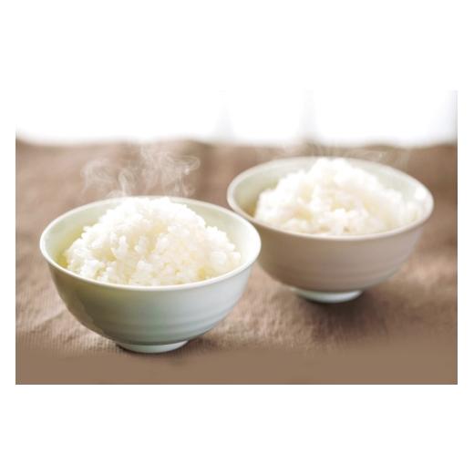 ふるさと納税 米 長崎県 平戸市 米 令和7年産 棚田米 2.5kg 2袋 総計 5kg ひらど新鮮市場 長崎県 平戸市 hr42bgy400012 コメ こめ お米 ごはん 白米 精米 国産…_2