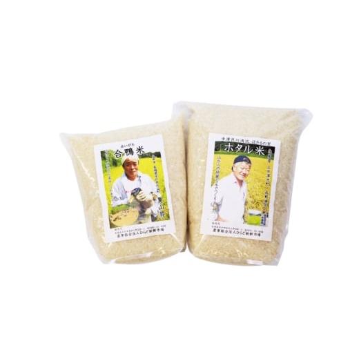 ふるさと納税 米 長崎県 平戸市 米 令和7年産 棚田米 2.5kg 2袋 総計 5kg ひらど新鮮市場 長崎県 平戸市 hr42bgy400012 コメ こめ お米 ごはん 白米 精米 国産…_3