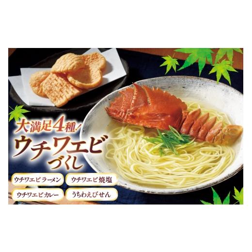 ふるさと納税 エビ・カニ加工品 長崎県 平戸市 4種のウチワエビづくし ひらど新鮮市場 長崎県 平戸市 hr42bgy400030 うちわえび カレー ラーメン えびせん 塩…_1