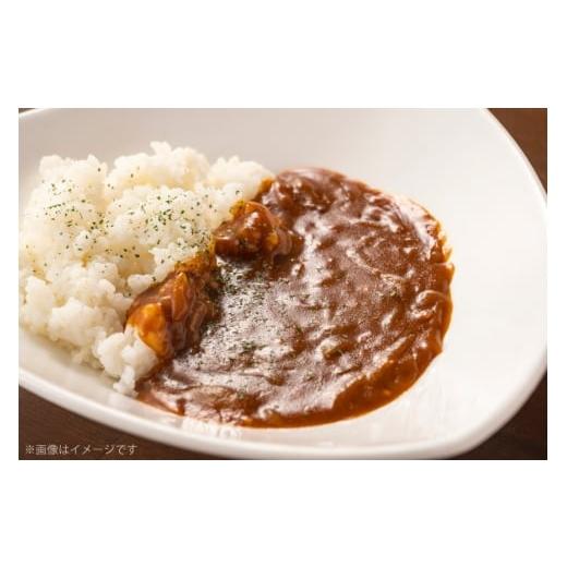 ふるさと納税 エビ・カニ加工品 長崎県 平戸市 4種のウチワエビづくし ひらど新鮮市場 長崎県 平戸市 hr42bgy400030 うちわえび カレー ラーメン えびせん 塩…_2