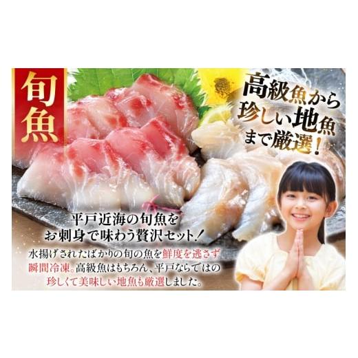 ふるさと納税 旬の鮮魚等 長崎県 平戸市 刺身 盛り合わせ 旬魚のお刺身 セット 約300g 定期便 6回 計 1.8kg ひらど新鮮市場 長崎県 平戸市 hr42bgy400115 お刺…の画像