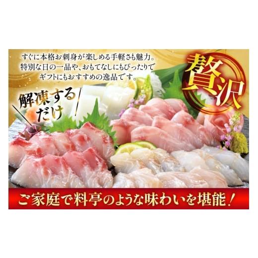 ふるさと納税 旬の鮮魚等 長崎県 平戸市 刺身 盛り合わせ 旬魚のお刺身 セット 約300g 定期便 6回 計 1.8kg ひらど新鮮市場 長崎県 平戸市 hr42bgy400115 お刺…の画像