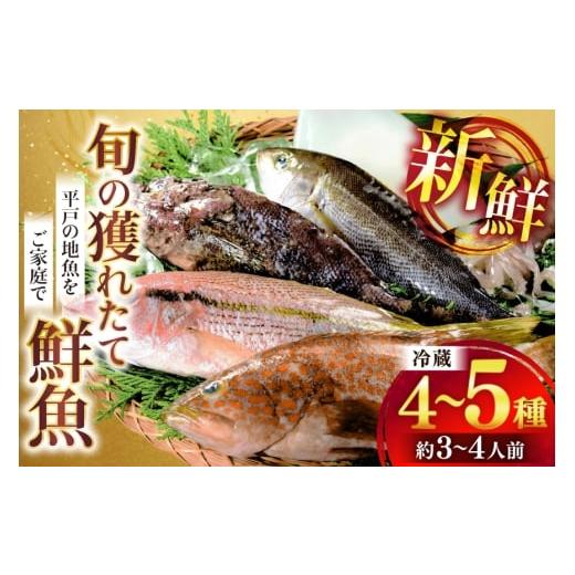 ふるさと納税 旬の鮮魚等 長崎県 平戸市 鮮魚 詰め合わせ 旬の獲れたて鮮魚 4種 ~ 5種 ひらど新鮮市場 長崎県 平戸市 hr42bgy400116 冷蔵 直送 鮮魚セット 鮮…