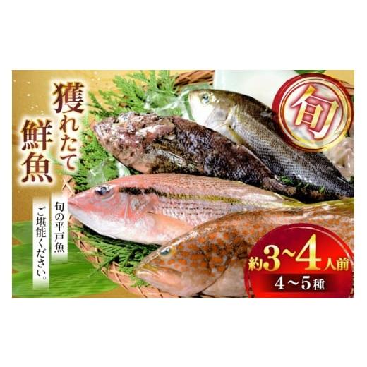 ふるさと納税 旬の鮮魚等 長崎県 平戸市 鮮魚 詰め合わせ 旬の獲れたて鮮魚 4種 ~ 5種 ひらど新鮮市場 長崎県 平戸市 hr42bgy400123 冷凍 冷凍便 直送 鮮魚セ…