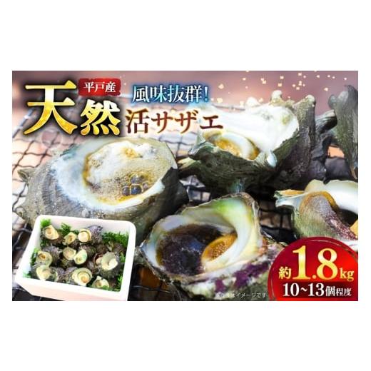 ふるさと納税 サザエ 長崎県 平戸市 サザエ つぼ焼き 天然 活サザエ 1.8kg 10個 ~ 13個 程度 ひらど新鮮市場 長崎県 平戸市 hr42bgy400140 さざえ 希少 貝 魚…