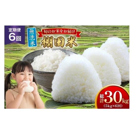 ふるさと納税 無洗米 長崎県 平戸市 米 令和7年 無洗米 棚田米 5kg 2袋 計 10kg 6回 定期便 総計60kg ひらど新鮮市場 長崎県 平戸市 hr42bgy400194 令和6年産 …
