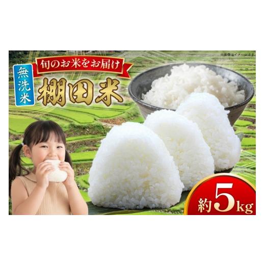 ふるさと納税 無洗米 長崎県 平戸市 米 令和7年 無洗米 棚田米 5kg ひらど新鮮市場 長崎県 平戸市 hr42bgy400199 令和7年産 コメ こめ ごはん ご飯 こしひかり…_1