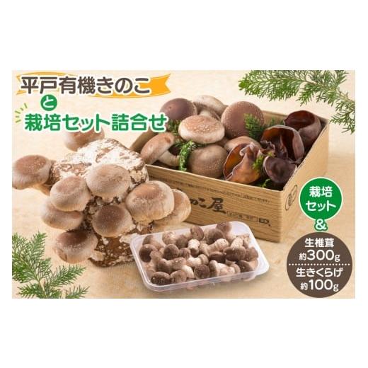 ふるさと納税 野菜類 きのこ 長崎県 平戸市 きのこ しいたけ きくらげ 椎茸菌床 生椎茸 生きくらげ セット きのこ屋 長崎県 平戸市 hr42bgy410092 有機 有機JA…