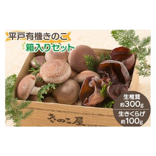 ふるさと納税 野菜類 きのこ 長崎県 平戸市 きのこ しいたけ きくらげ 生椎茸 生きくらげ 箱入りセット きのこ屋 長崎県 平戸市 hr42bgy410144 有機 有機JAS …