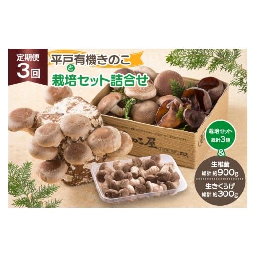 ふるさと納税 野菜類 きのこ 長崎県 平戸市 きのこ しいたけ きくらげ 椎茸菌床 生椎茸 生きくらげ セット 3回 定期便 きのこ屋 長崎県 平戸市 hr42bgy410154 …