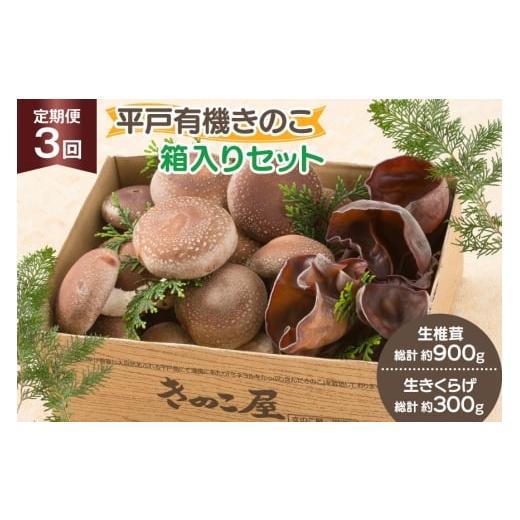 ふるさと納税 野菜類 きのこ 長崎県 平戸市 きのこ しいたけ きくらげ 生椎茸 生きくらげ 箱入りセット 3回 定期便 きのこ屋 長崎県 平戸市 hr42bgy410164 有…
