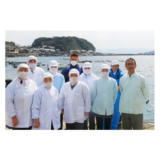 ふるさと納税 魚貝類 かまぼこ 長崎県 平戸市 かまぼこ 天ぷら 平戸 特選味くらべ 5点 セット 計25個 詰め合わせ 食べ比べ 伊東蒲鉾店 長崎県 平戸市 hr42bgy4…の画像