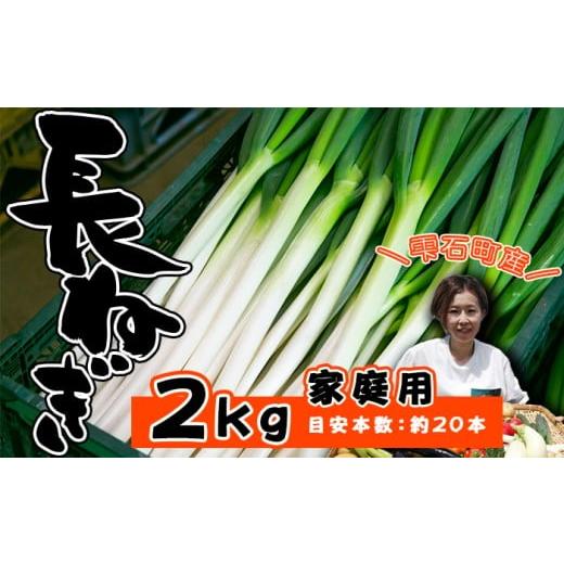 ふるさと納税 野菜類 ねぎ 岩手県 雫石町 岩手県産 極楽野 長ねぎ 2kg 目安本数 約 20本 家庭用 高橋農園 / 長ネギ 長葱 ねぎ ネギ 葱 白ねぎ 白ネギ 白葱 新…