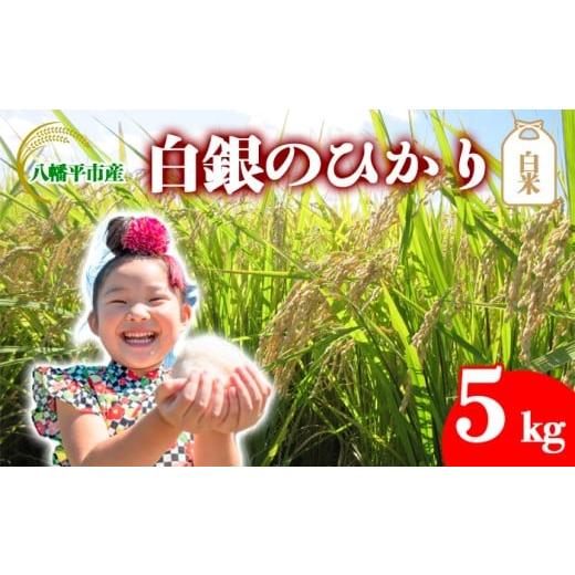 ふるさと納税 米 岩手県 八幡平市 令和7年産 新米 10月中旬発送開始予定 白銀のひかり (岩手141号) 精米 5kg / かきのうえ こめ 米 コメ お米 おこめ 白米…