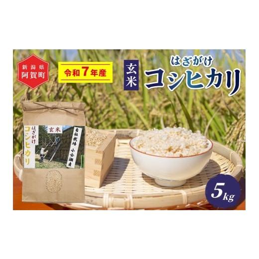 ふるさと納税 玄米 新潟県 阿賀町 [令和7年産米]越後奥阿賀産はざがけ(天日干し)コシヒカリ 玄米5kg(1袋)
