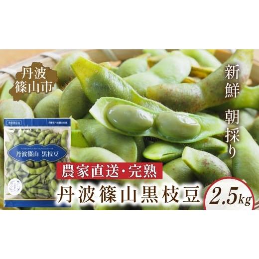 ふるさと納税 豆類 枝豆 兵庫県 丹波篠山市 [早期予約/R8年10月中旬〜11月初旬発送]丹波 黒枝豆 さや 丹波篠山産 枝豆 黒大豆枝豆 2.5kg 500g×5袋 農家直…