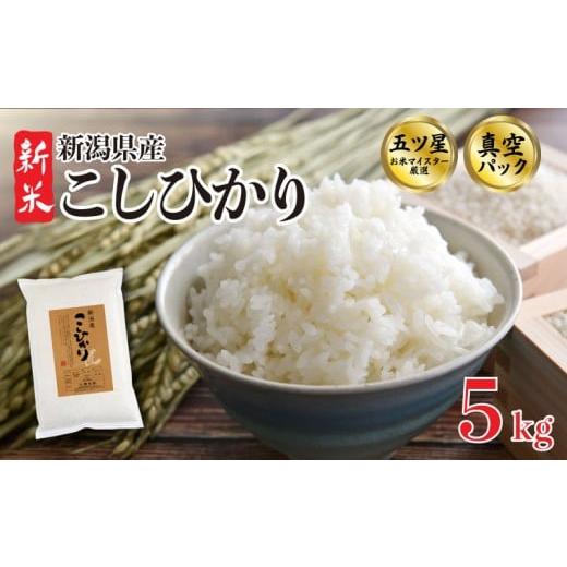 ふるさと納税 米 コシヒカリ 新潟県 新発田市 2026年1月発送 こしひかり 5kg 令和7年産 米 真空パック 五つ星お米マイスター 新米 新潟県産 新発田産 コシヒ…