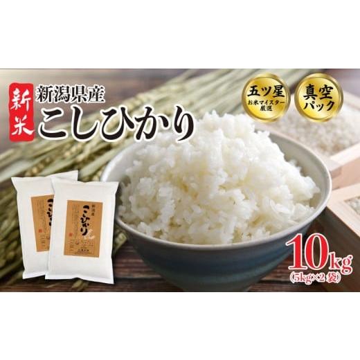 ふるさと納税 米 コシヒカリ 新潟県 新発田市 11月発送 こしひかり 10kg 令和7年産 5kg×2袋 真空パック 新米 五つ星お米マイスター 新潟県産 新発田産 コシ…