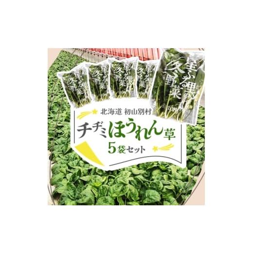 ふるさと納税 野菜類 北海道 初山別村 北海道 初山別村 チヂミほうれん草×5袋セット 1665015