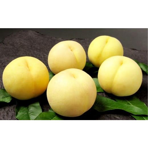 ふるさと納税 もも 岡山県 倉敷市 岡山清水白桃 5〜7玉(合計1.5kg以上) もも 桃 モモ 白桃 フルーツ 果物 果実 清水白桃 岡山県 倉敷市 2026年7月上旬〜7月…