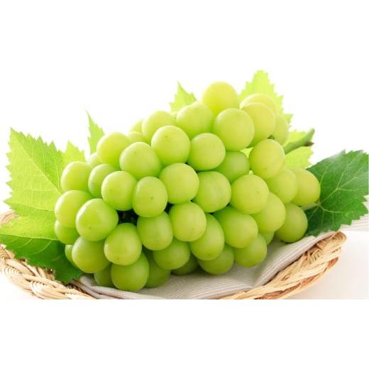 ふるさと納税 ぶどう マスカット 岡山県 倉敷市 シャインマスカット晴王 1房(700g以上) マスカット ぶどう 葡萄 ブドウ 晴王 果物 フルーツ 岡山県 倉敷市 2…