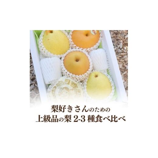 ふるさと納税 梨 岡山県 津山市 きよとうファーム 梨好きのための、梨2-3種 食べ比べ 上級品 5-7玉(岡山県産) 1559796