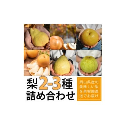 ふるさと納税 梨 岡山県 津山市 きよとうファーム 梨好きのための、梨2-3食べ比べ ご家庭用 5-7玉(岡山県産) 1559803