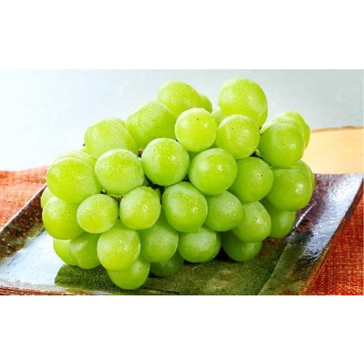 ふるさと納税 ぶどう マスカット 岡山県 倉敷市 マスカット・オブ・アレキサンドリア 2〜3房(合計1.0kg以上) マスカット ぶどう 葡萄 ブドウ 果物 フルーツ …