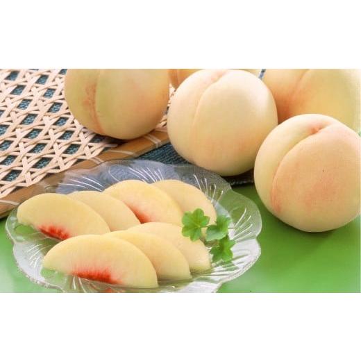 ふるさと納税 もも 岡山県 倉敷市 岡山白桃(品種:白鳳/加納岩白桃)5~7玉 合計1.5kg以上 もも 桃 モモ 白桃 フルーツ 果物 果実 化粧箱 贈答品 贈り物 岡山…