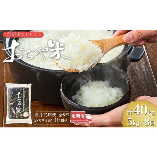 ふるさと納税 米 コシヒカリ 新潟県 小千谷市 8か月定期便(毎月発送) 令和7年産 魚沼産コシヒカリ「おぢや米」 計40kg(5kg×1袋×全8回) | 新潟県産コシ…
