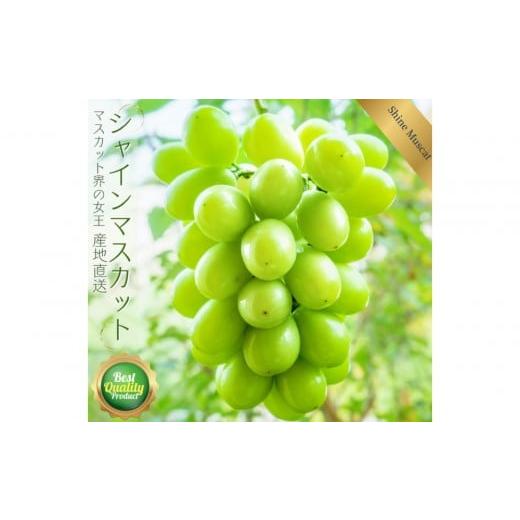 ふるさと納税 果物類 ぶどう 鳥取県 鳥取市 鳥取産 シャインマスカット 優品 2房