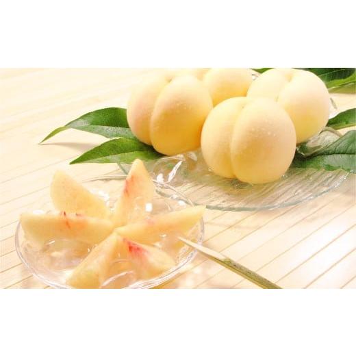 ふるさと納税 もも 岡山県 倉敷市 岡山白桃(品種:おかやま夢白桃/白麗)5〜7玉 合計1.5kg以上 もも 桃 モモ 白桃 フルーツ 果物 果実 化粧箱 贈答品 贈り物…